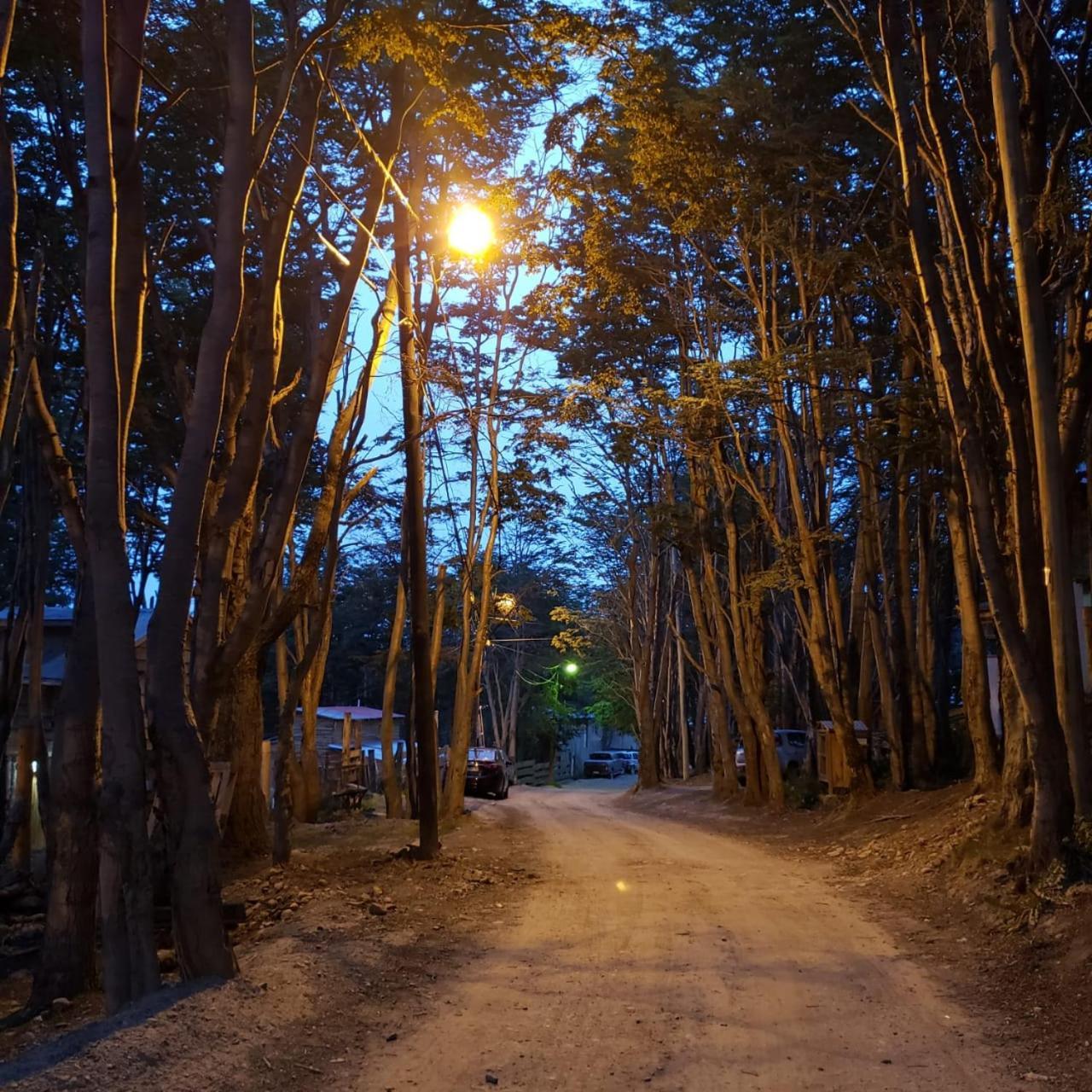 Appartamento Departamentos Del Bosque Ushuaia Esterno foto