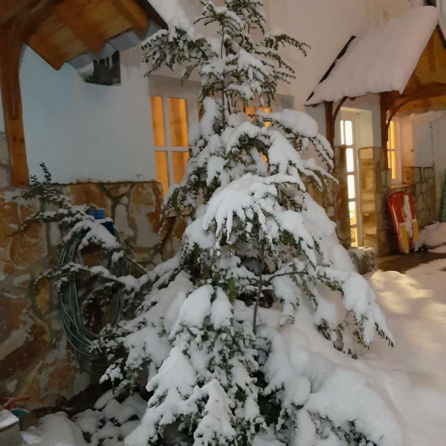 Appartamento Departamentos Del Bosque Ushuaia Esterno foto